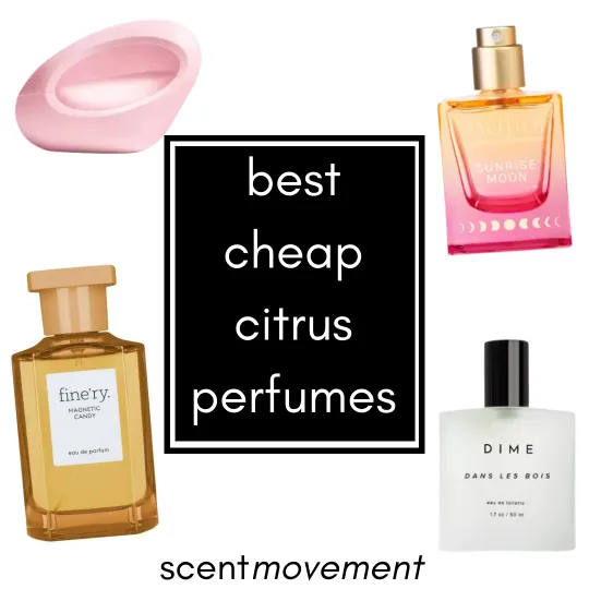 Best Cheap Citrus Perfumes