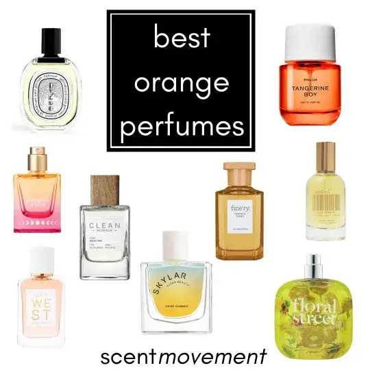 Best orange 2025 scented perfume