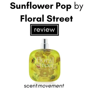 Sunflower Pop Review