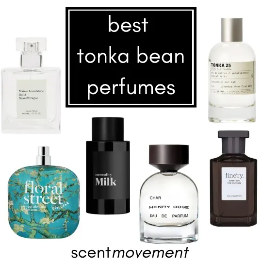 Best Tonka Bean Perfumes