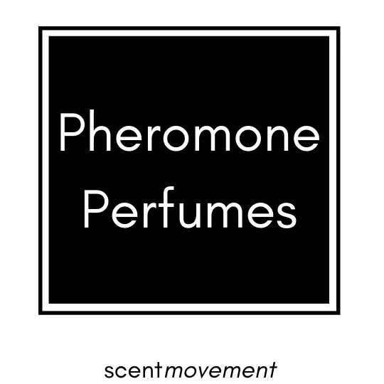 Pheromone Perfumes | Everything You Need to Know – Scent Movement
