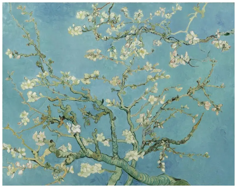 Sweet Almond Blossom Artwork