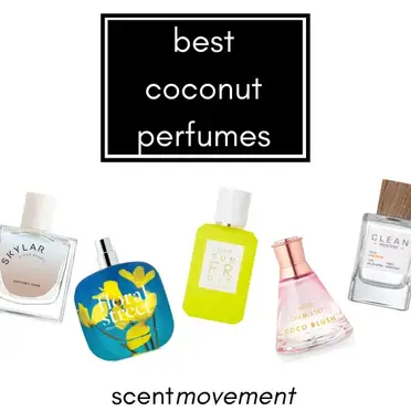Best Coconut Perfumes – Scent Movement