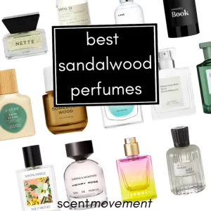 Best Sandalwood Perfume