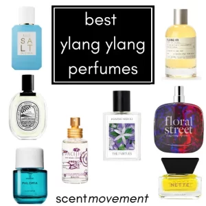 Best ylang ylang perfumes