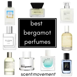Best Bergamot Perfumes