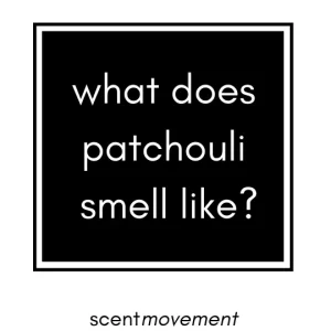 Patchouli Smell Like
