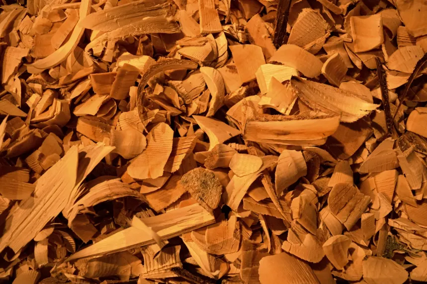 What is sandalwood?