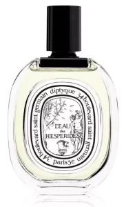 Best Lemon Perfume - Diptyque